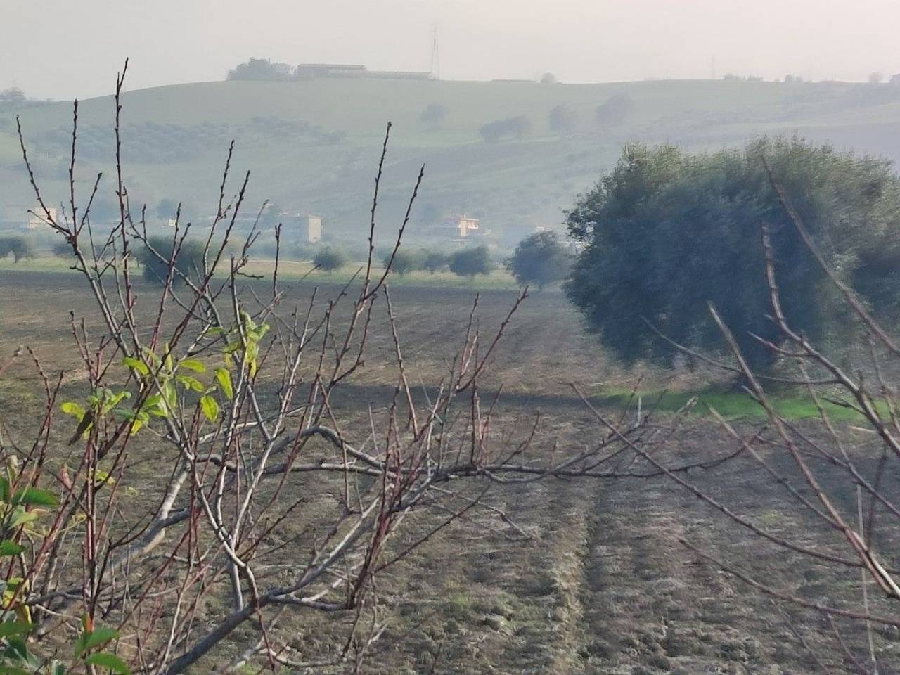 immagine annuncio 6 di 14