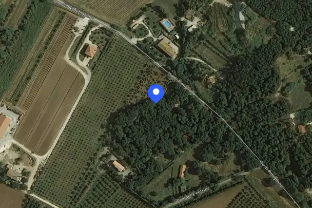 insertion image