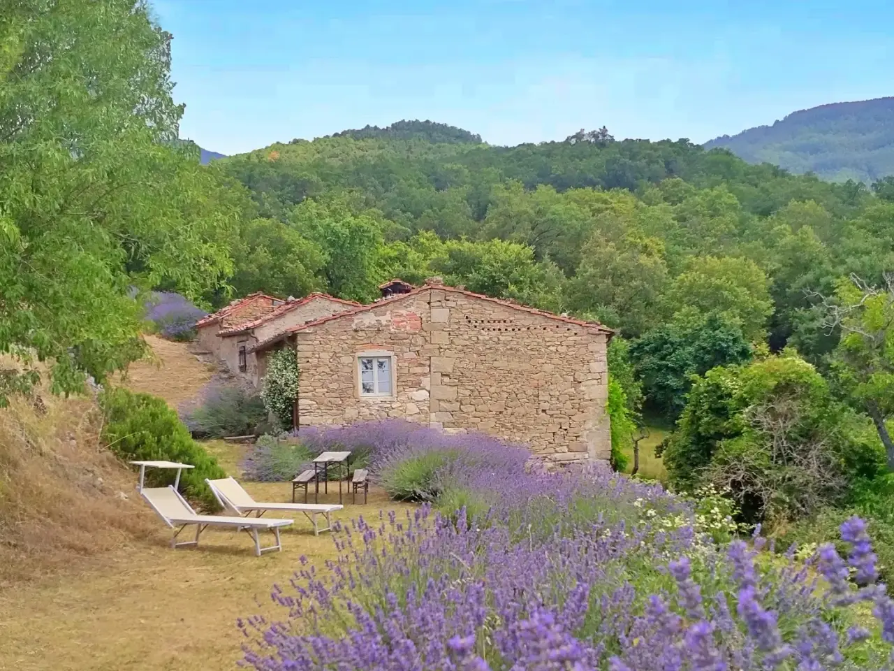 Agriturismo in , Loro Ciuffenna, {3} - Foto 1