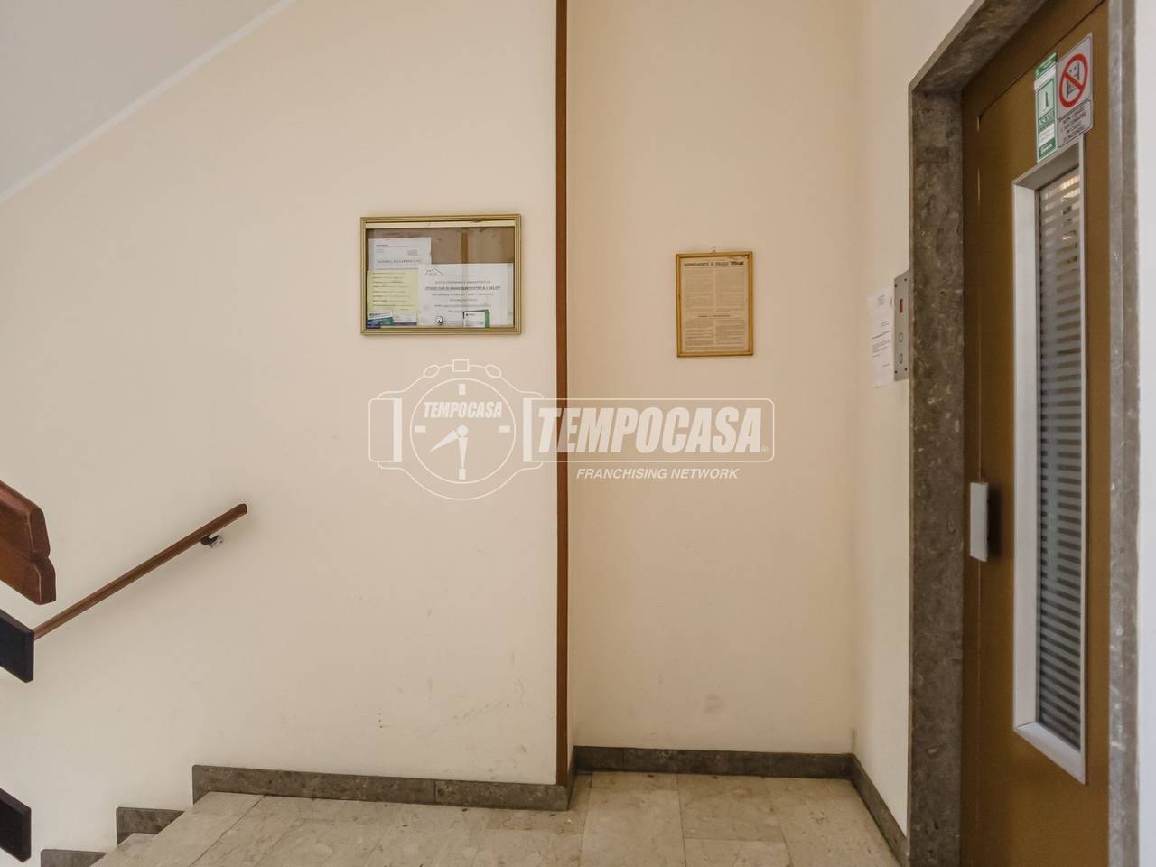 immagine annuncio 12 di 14