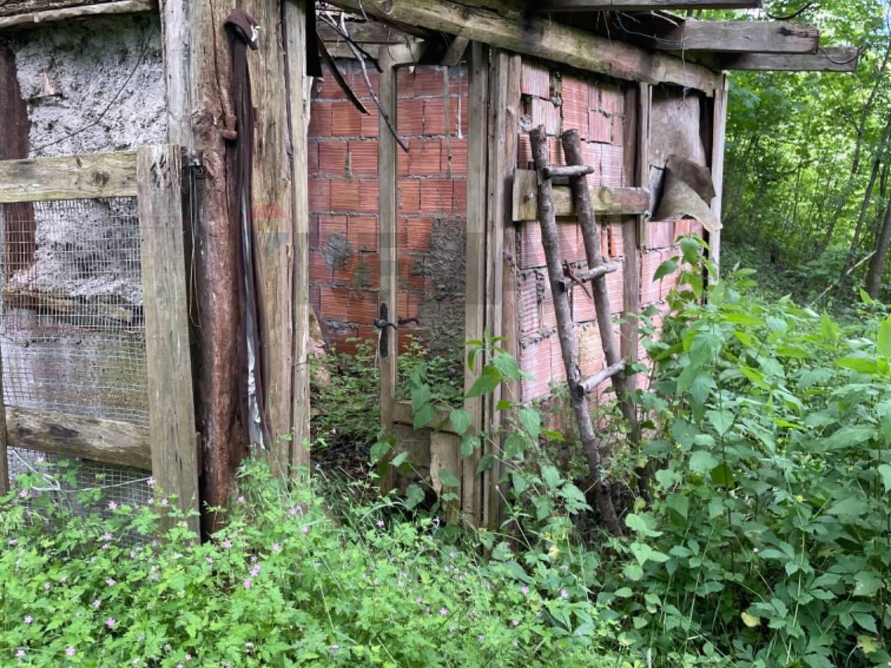 immagine annuncio 2 di 8