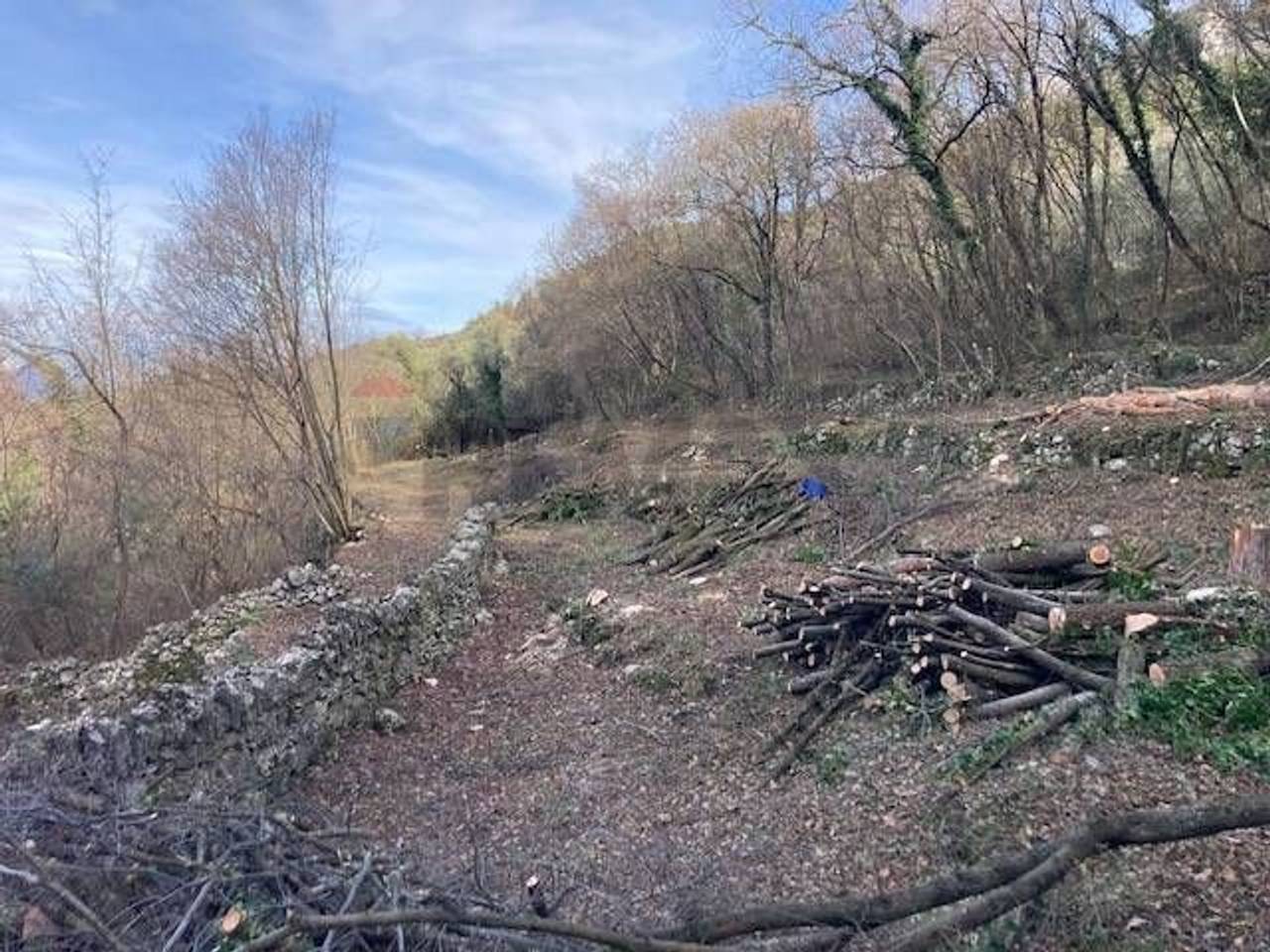 immagine annuncio 4 di 12