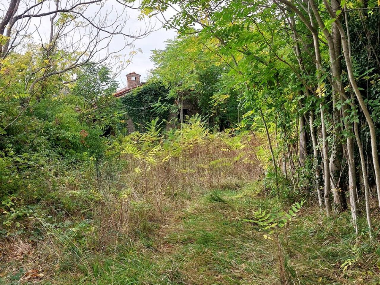 immagine annuncio 12 di 15