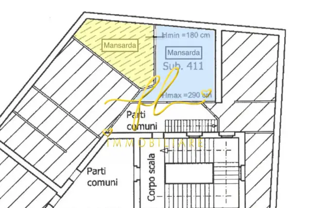insertion image