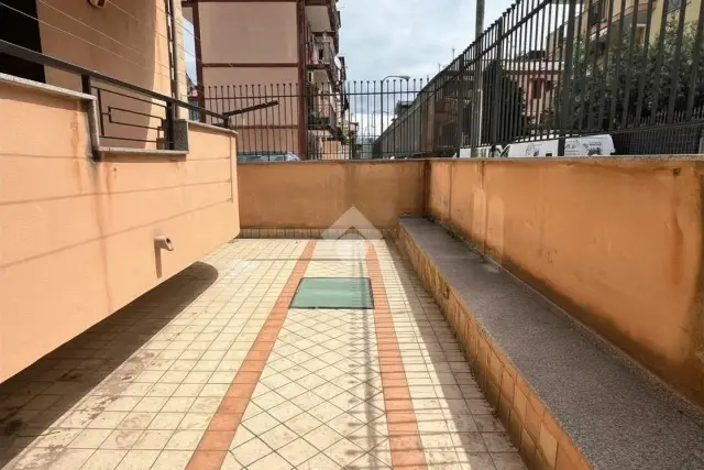 insertion image