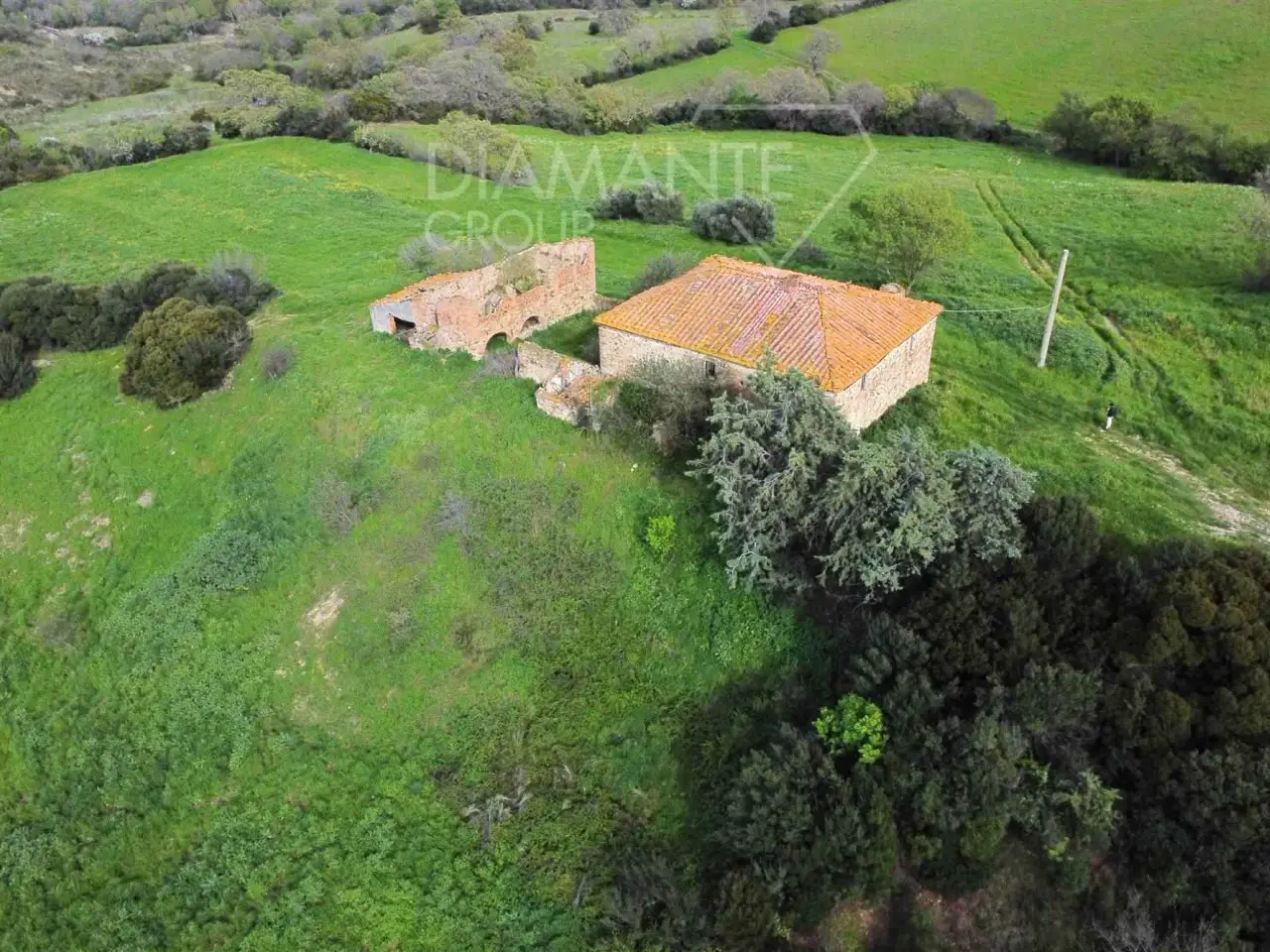 Azienda agricola in , Roccalbegna, {3} - Foto 1