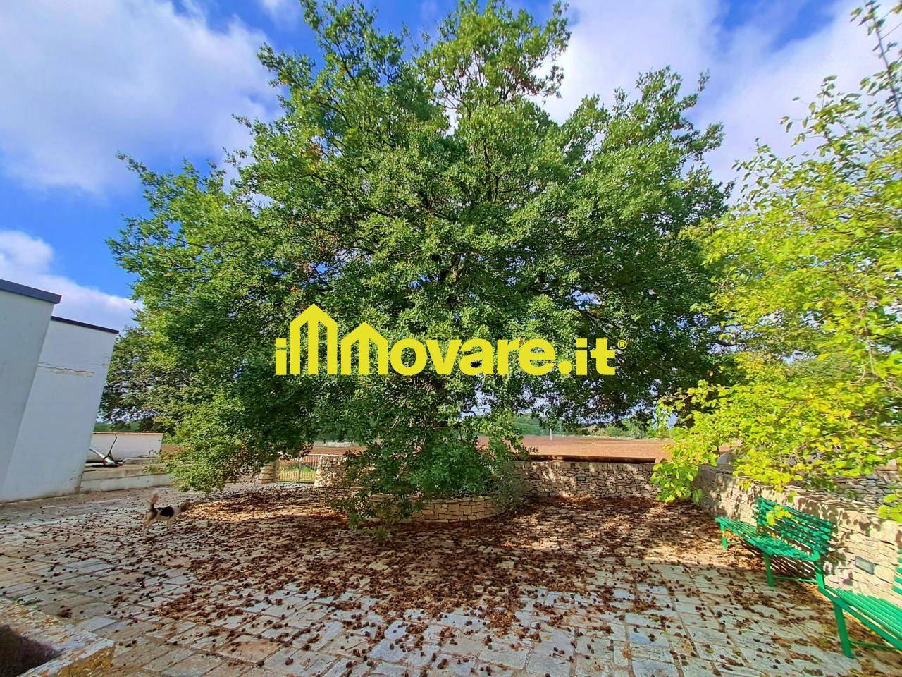 immagine annuncio 13 di 15