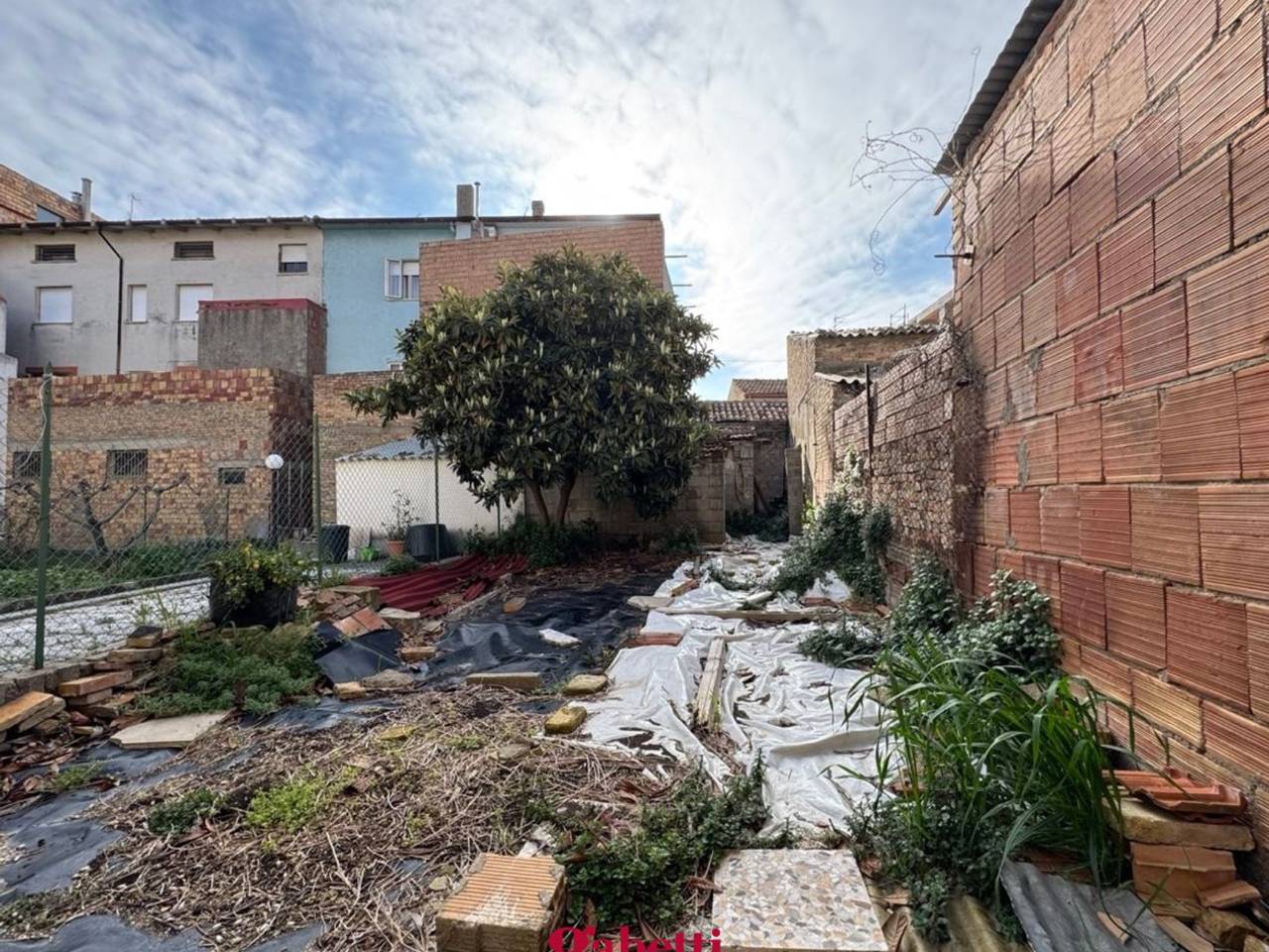 immagine annuncio 3 di 6