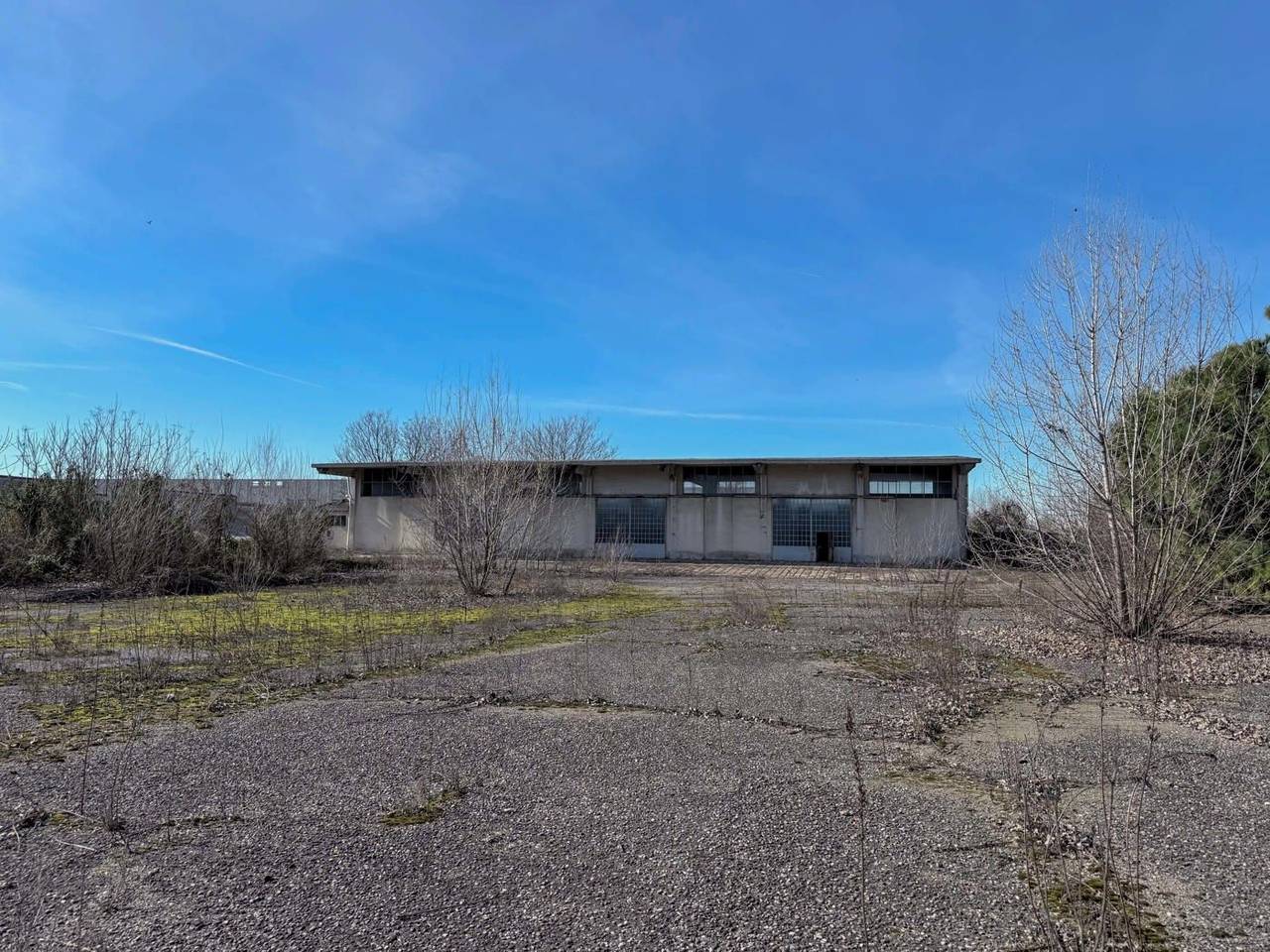 immagine annuncio 1 di 11