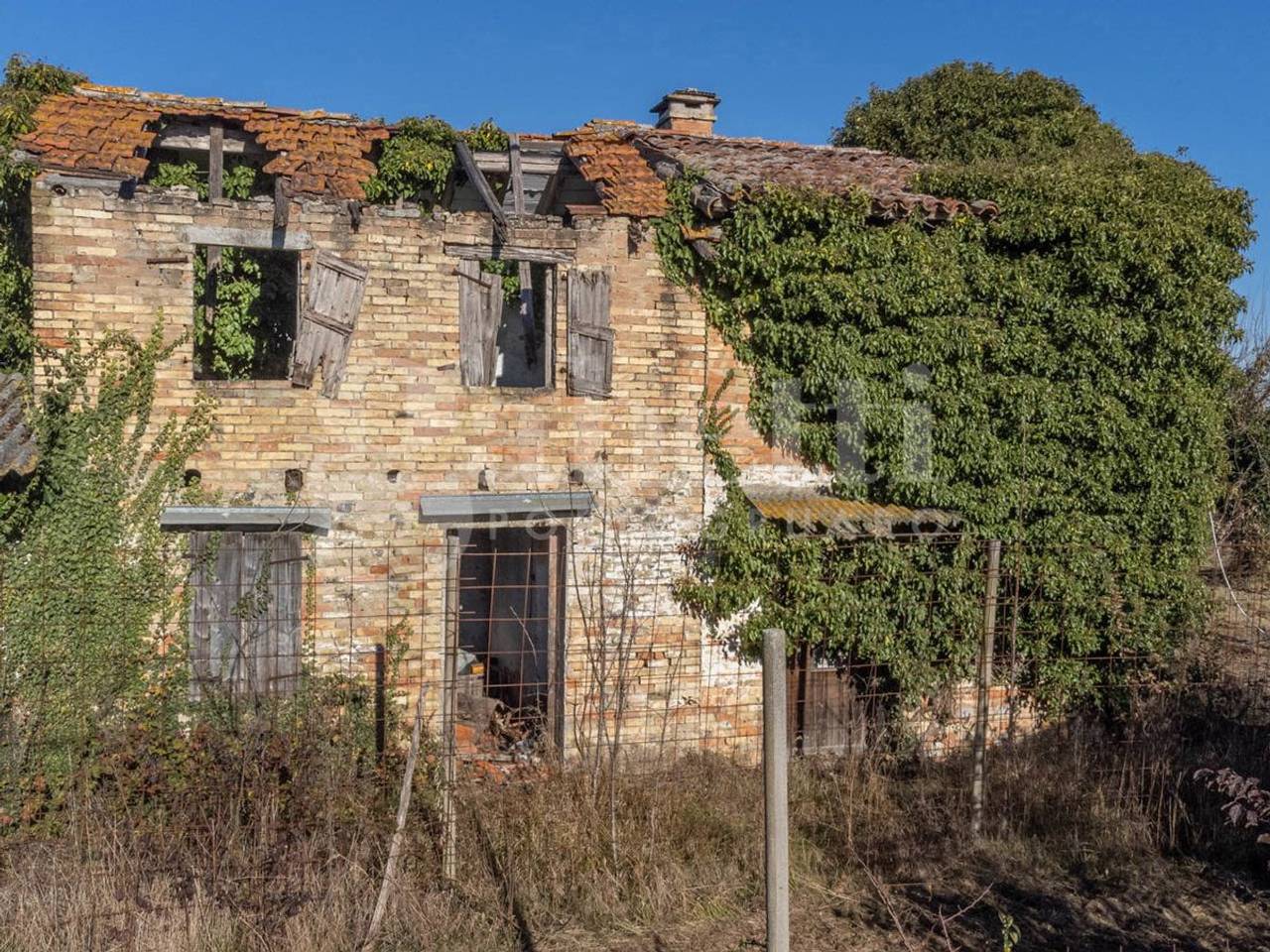 immagine annuncio 10 di 12