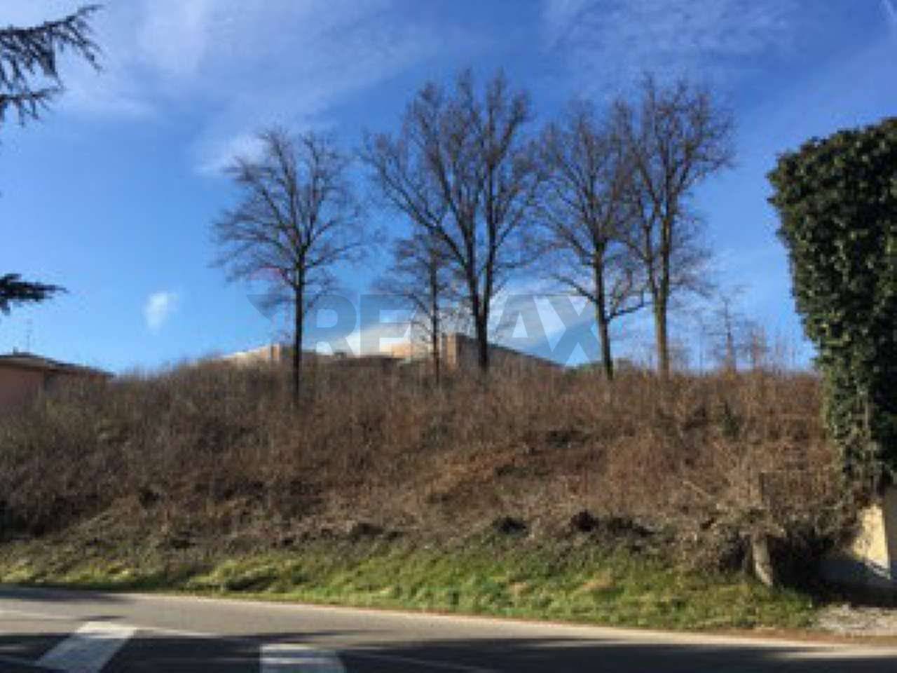 immagine annuncio 3 di 11