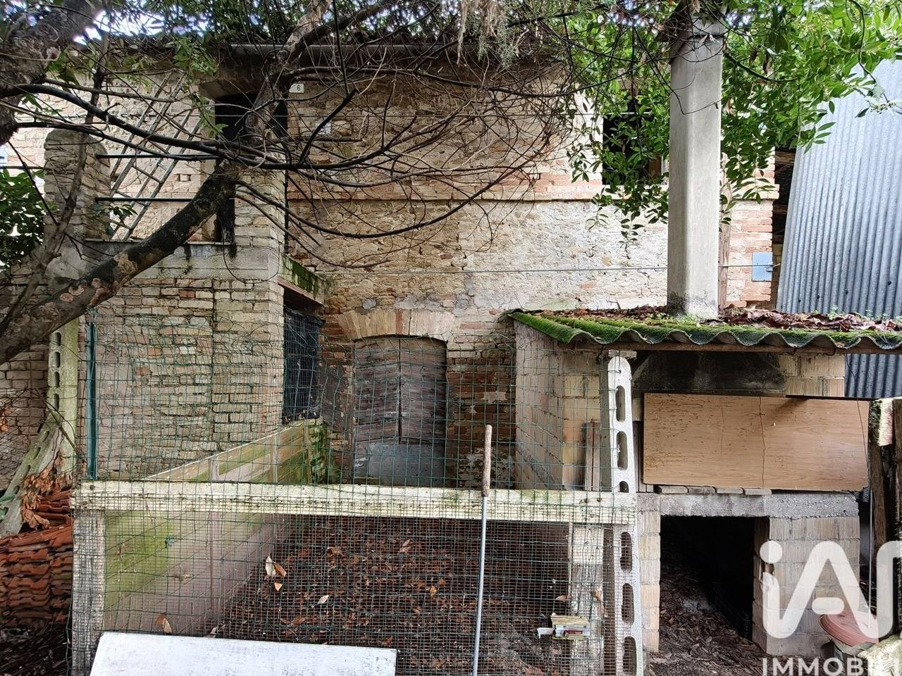 immagine annuncio 12 di 15