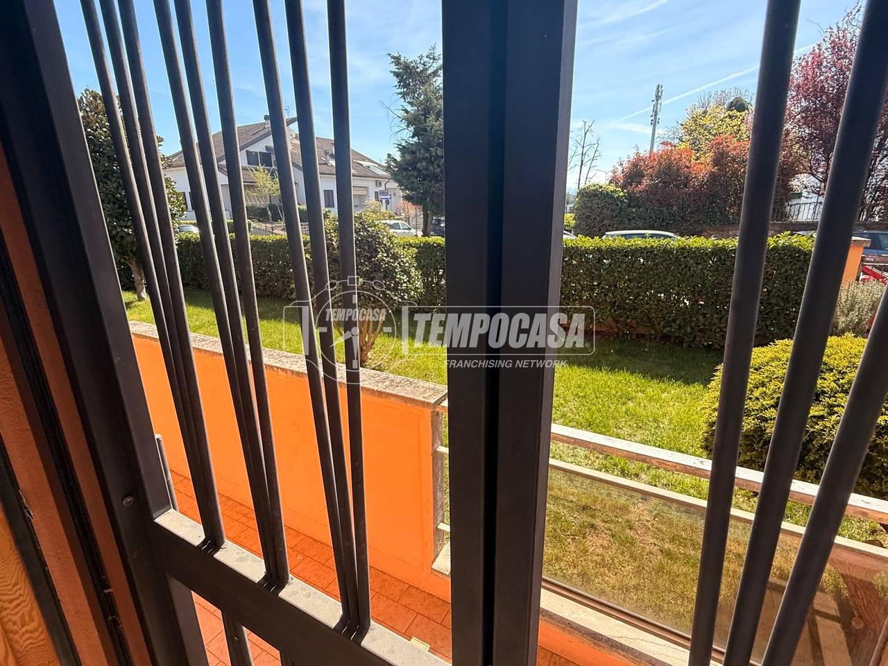 immagine annuncio 12 di 14