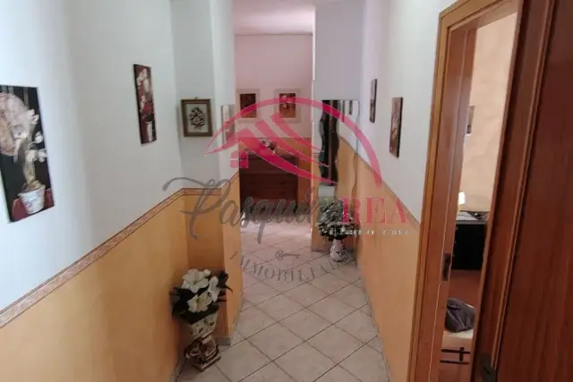 insertion image