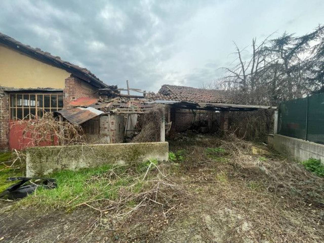 immagine annuncio 6 di 15