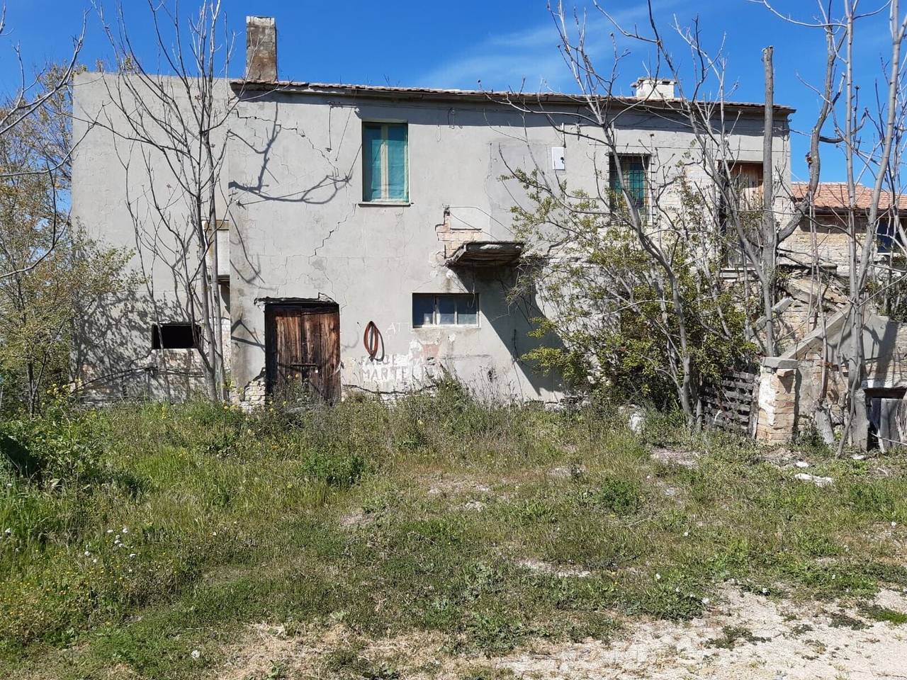 immagine annuncio 6 di 12