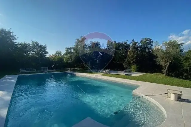 insertion image