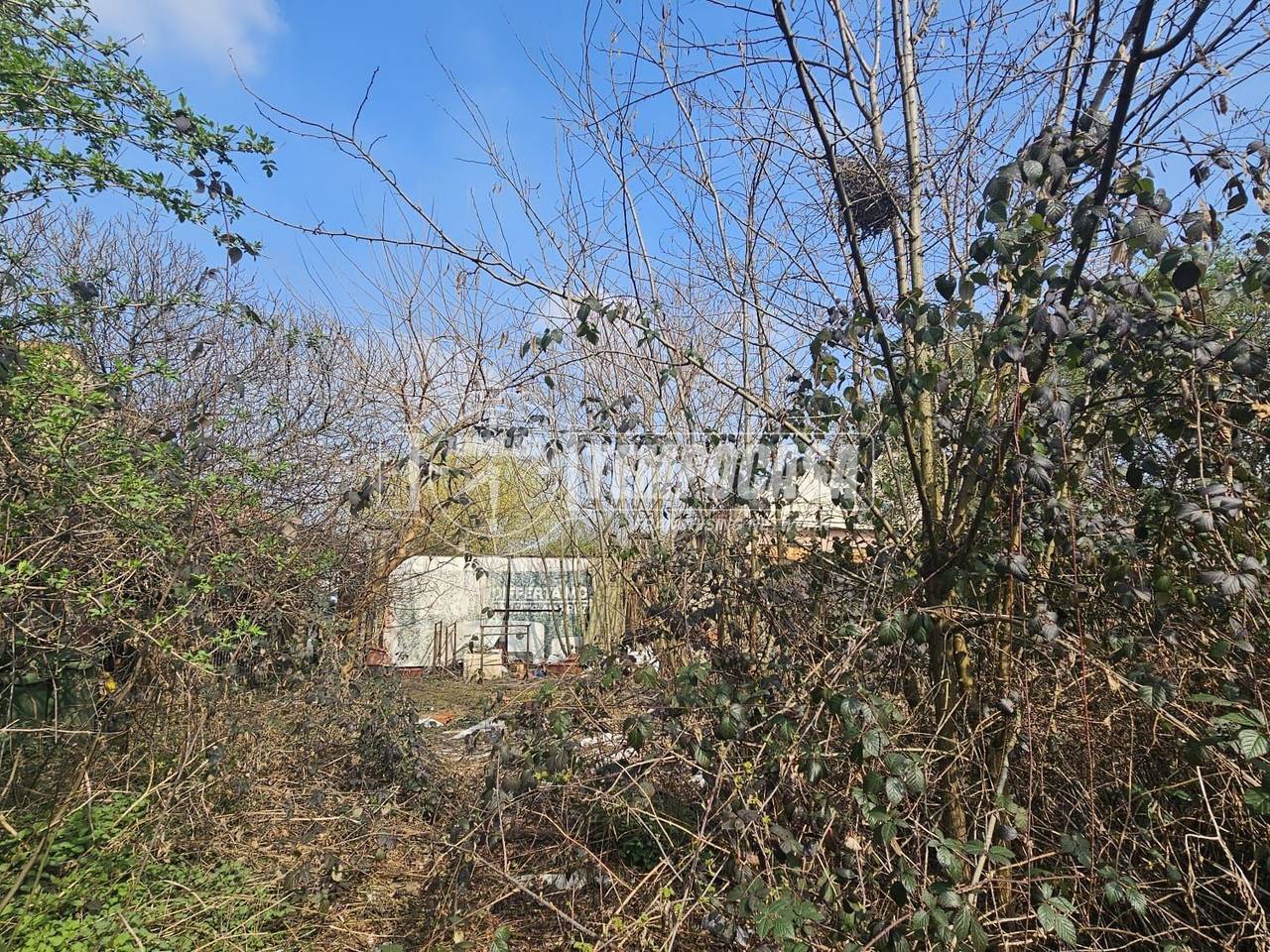 immagine annuncio 9 di 12