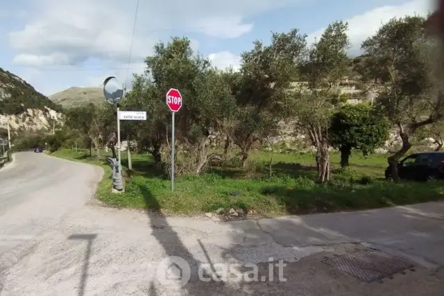 insertion image