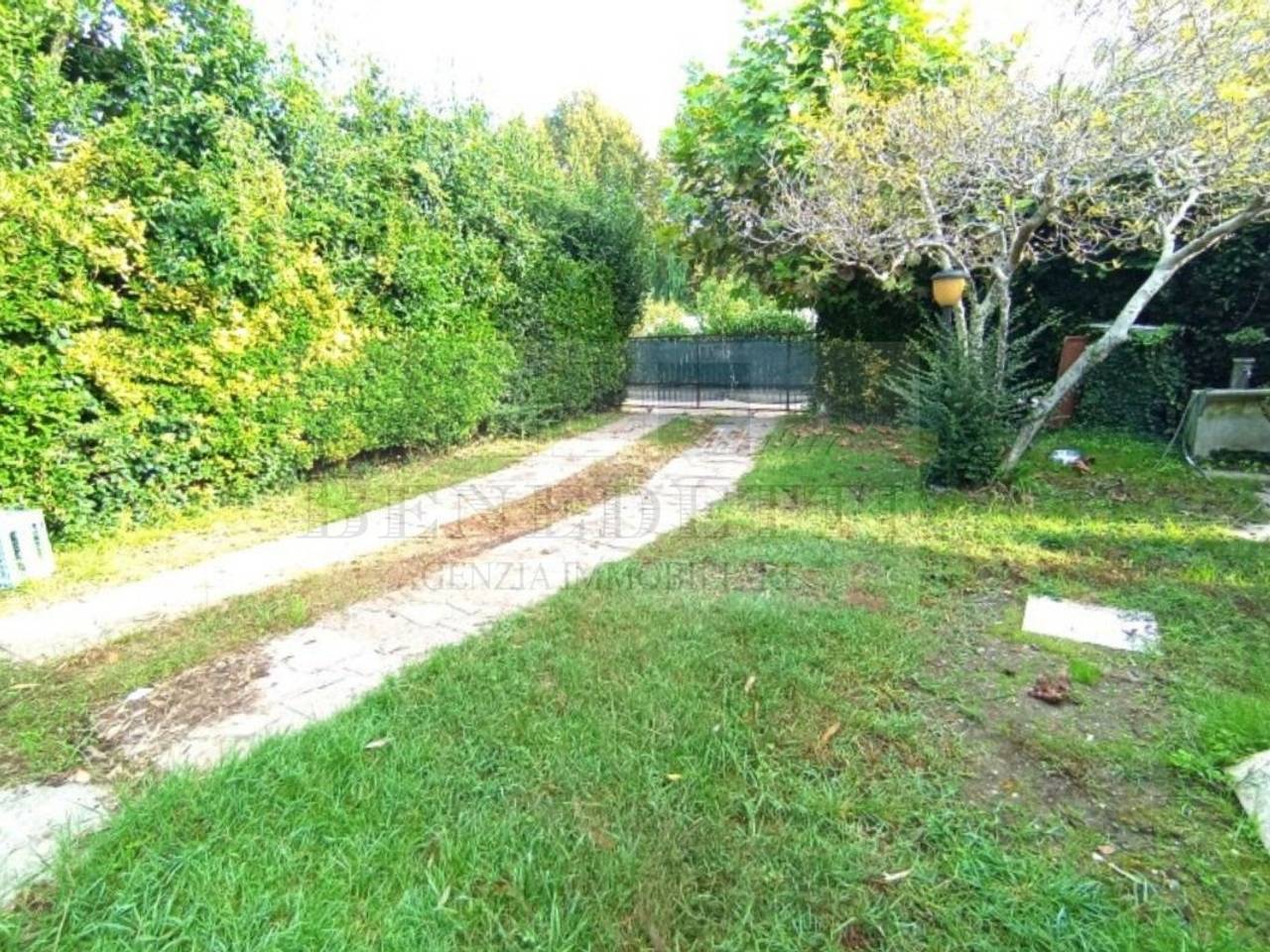 immagine annuncio 3 di 14