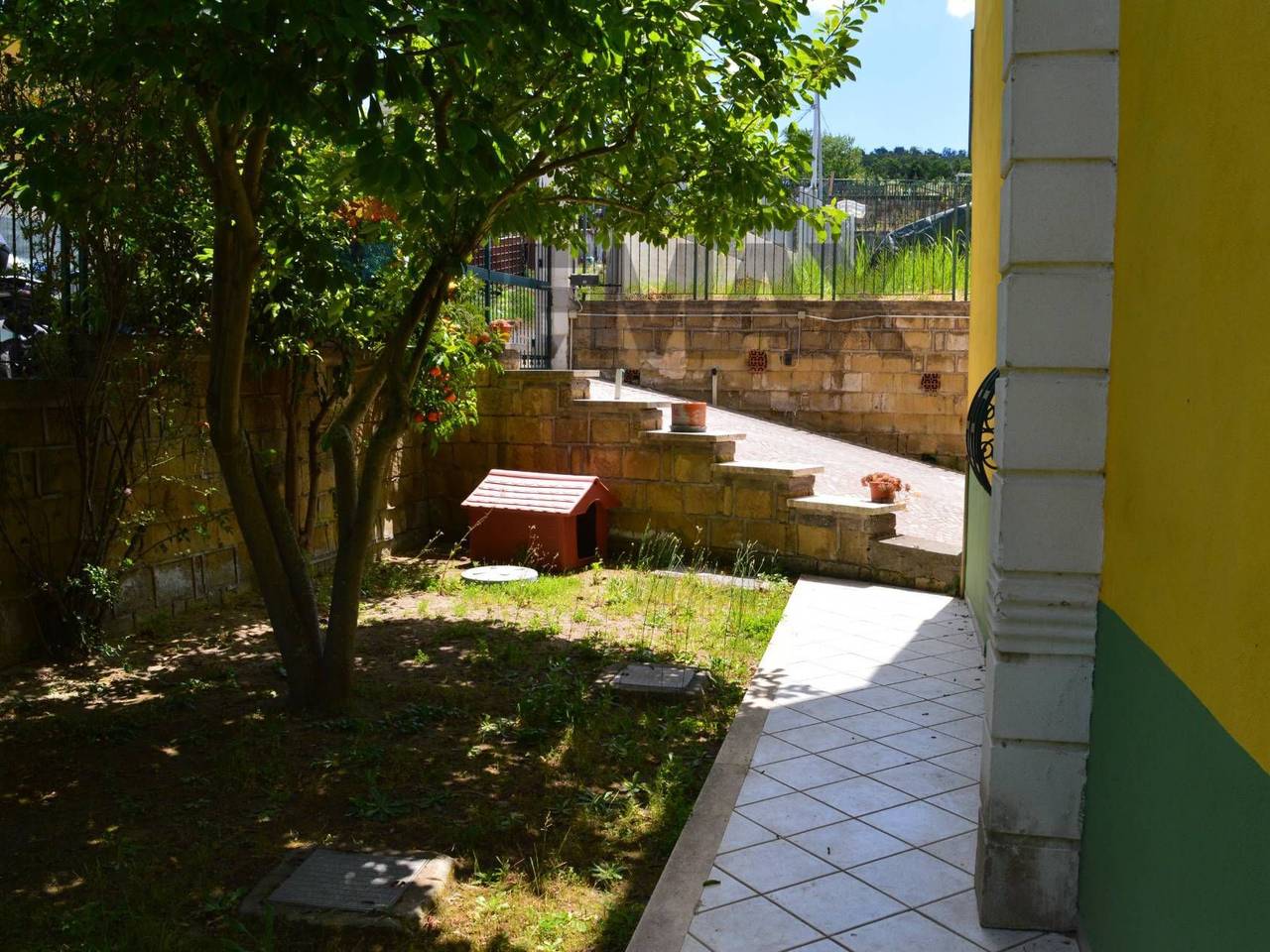 immagine annuncio 6 di 15