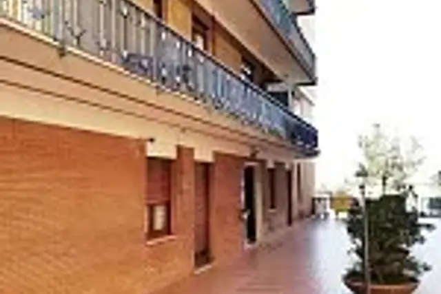 insertion image