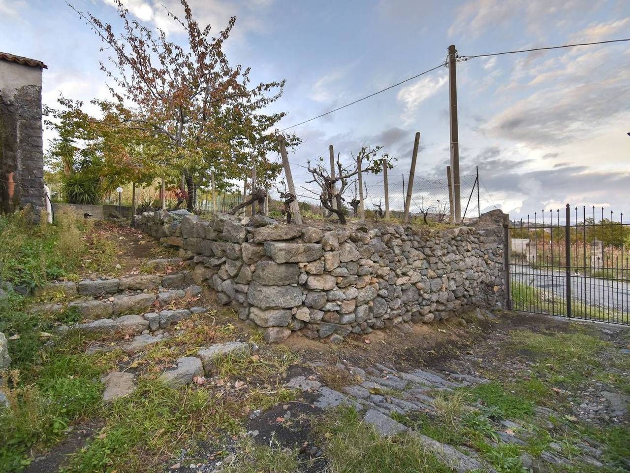 immagine annuncio 4 di 7