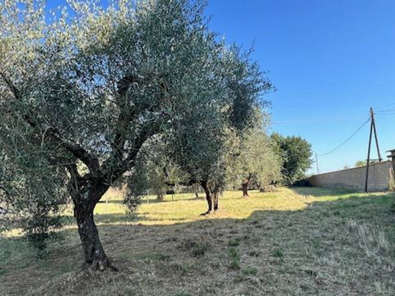 immagine annuncio 3 di 8