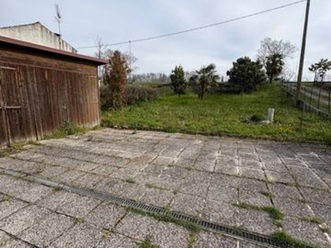 immagine annuncio 3 di 12