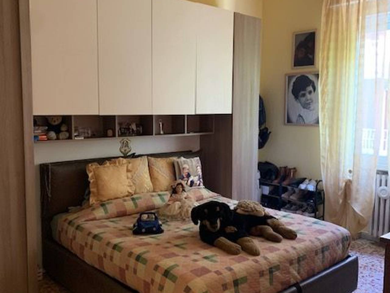 immagine annuncio 7 di 12