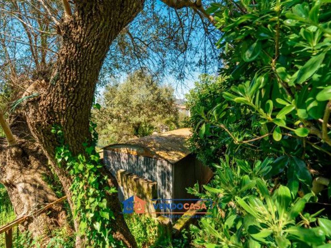 immagine annuncio 5 di 11