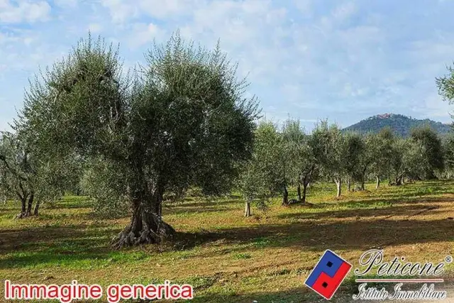 Terreno agricolo in Via Cesulo, Fondi - Foto 1