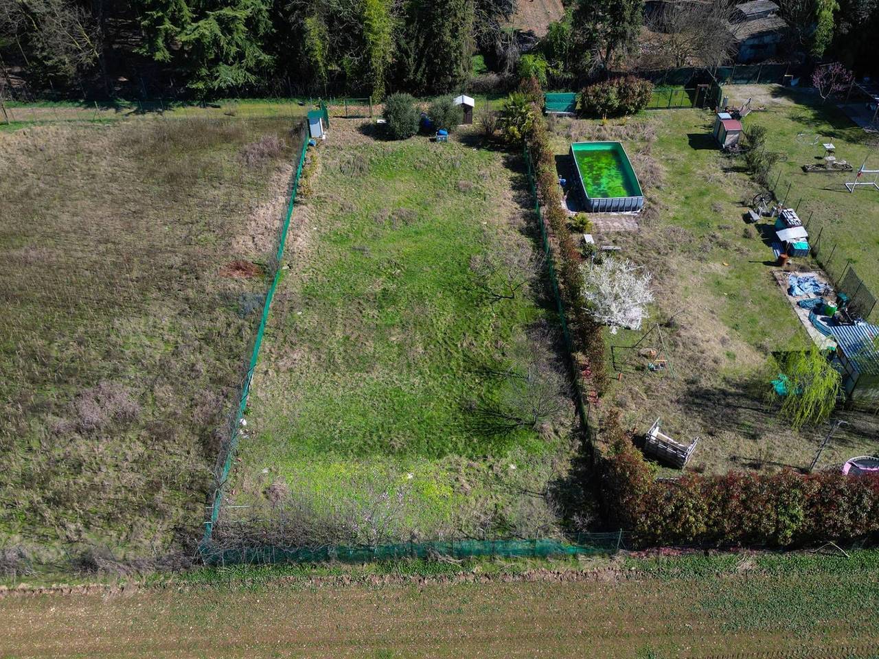 immagine annuncio 11 di 15