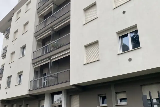 insertion image