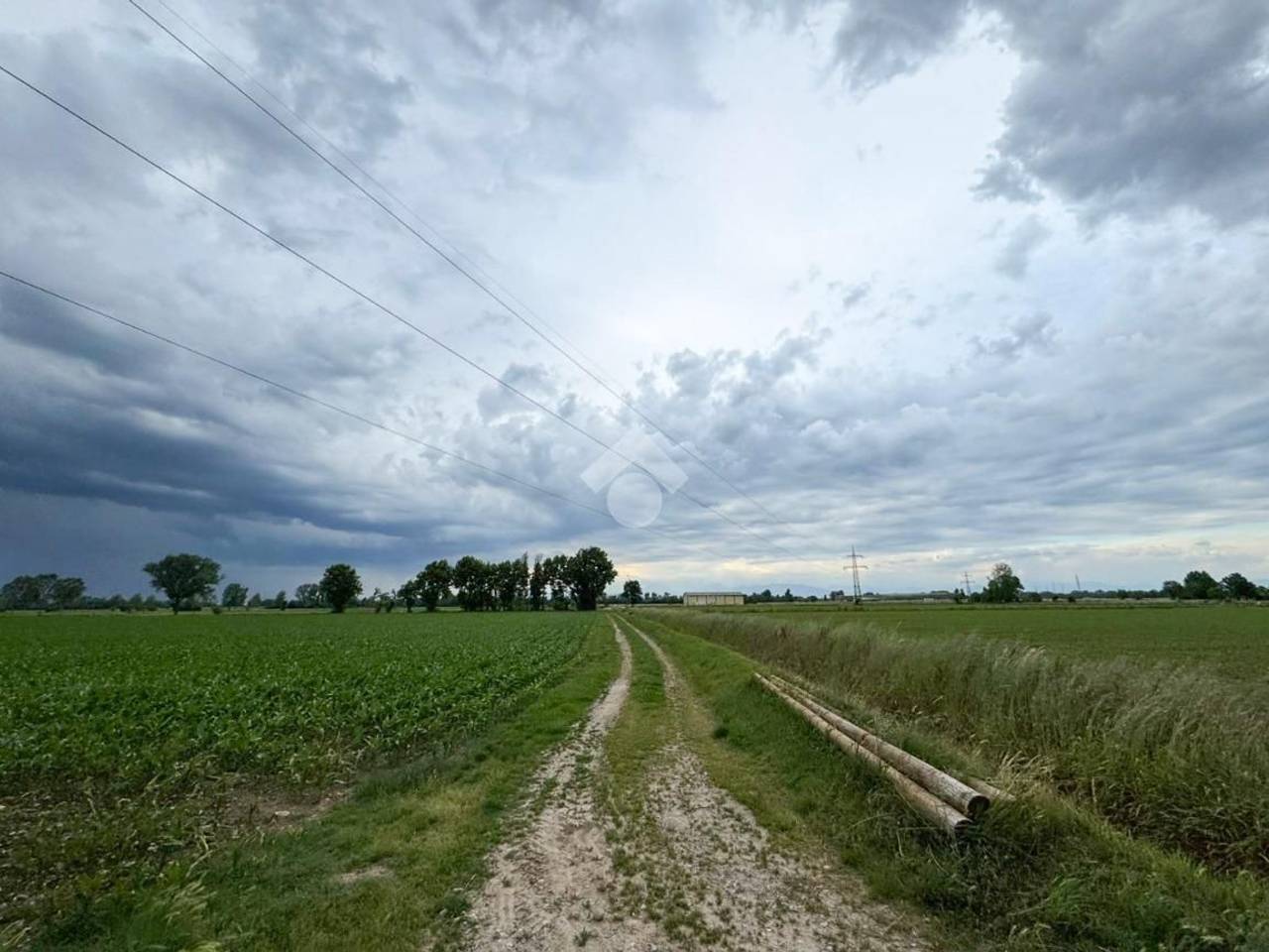 immagine annuncio 8 di 14