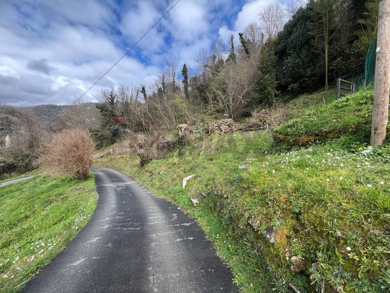 immagine annuncio 3 di 7