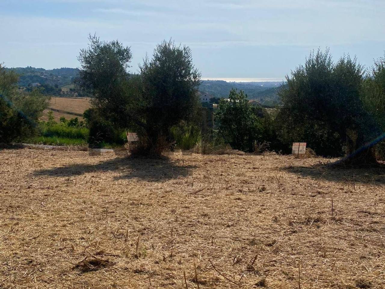 immagine annuncio 2 di 11