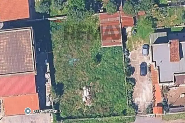 insertion image