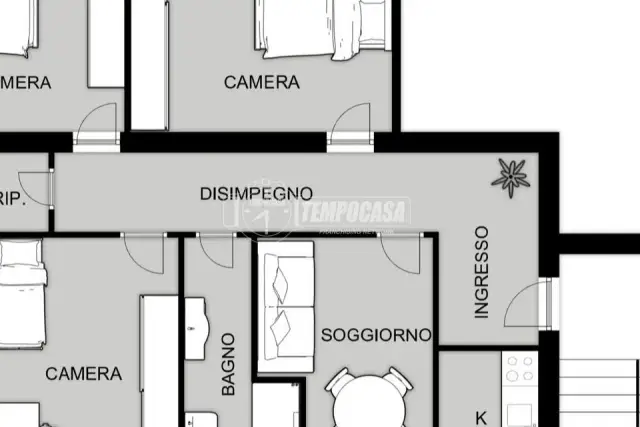 insertion image