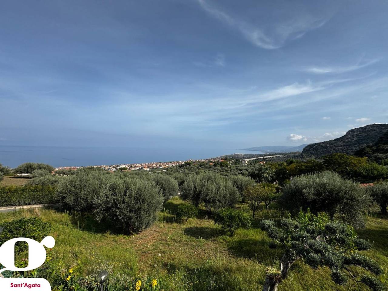 immagine annuncio 11 di 13