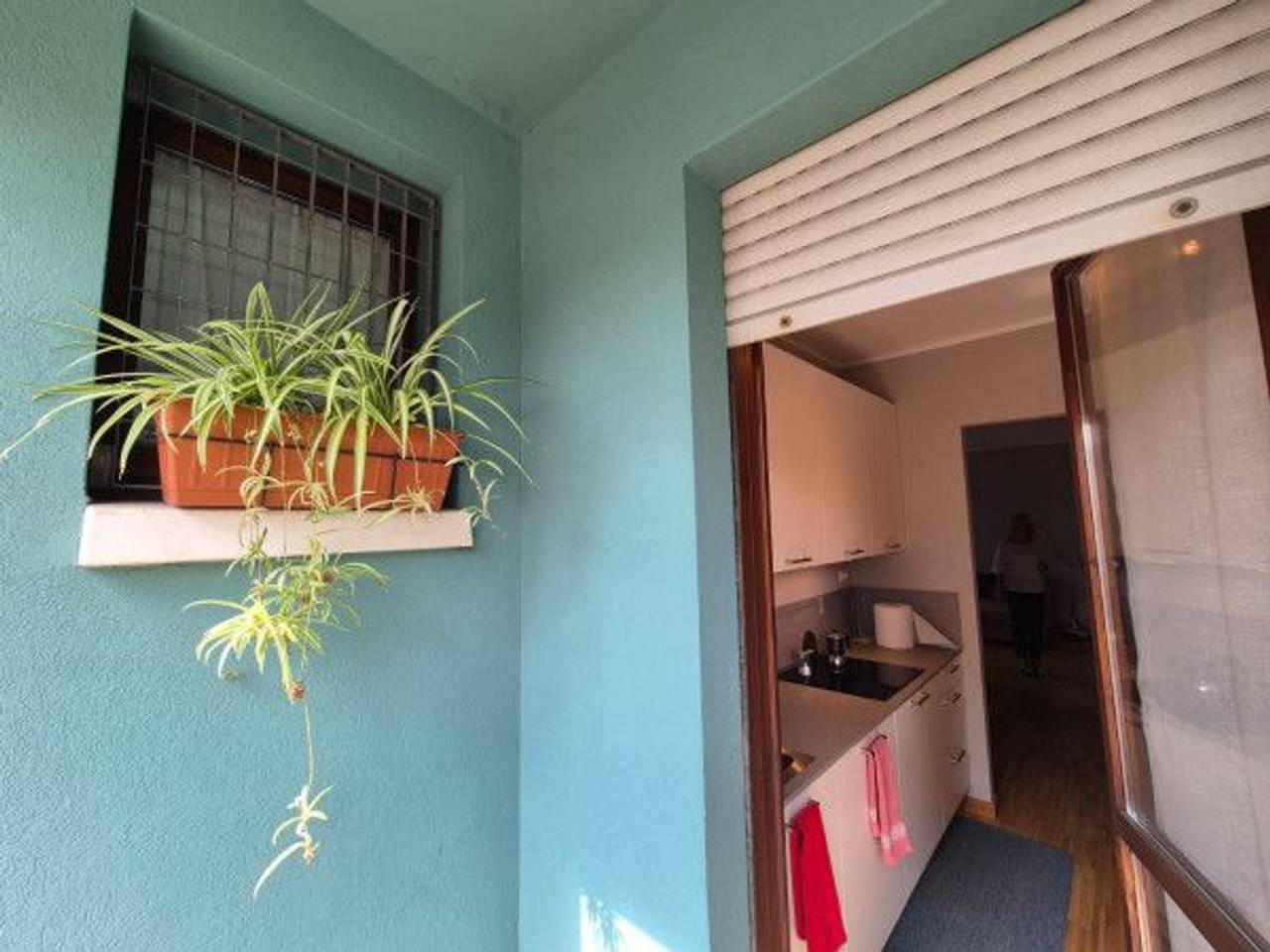 immagine annuncio 4 di 14