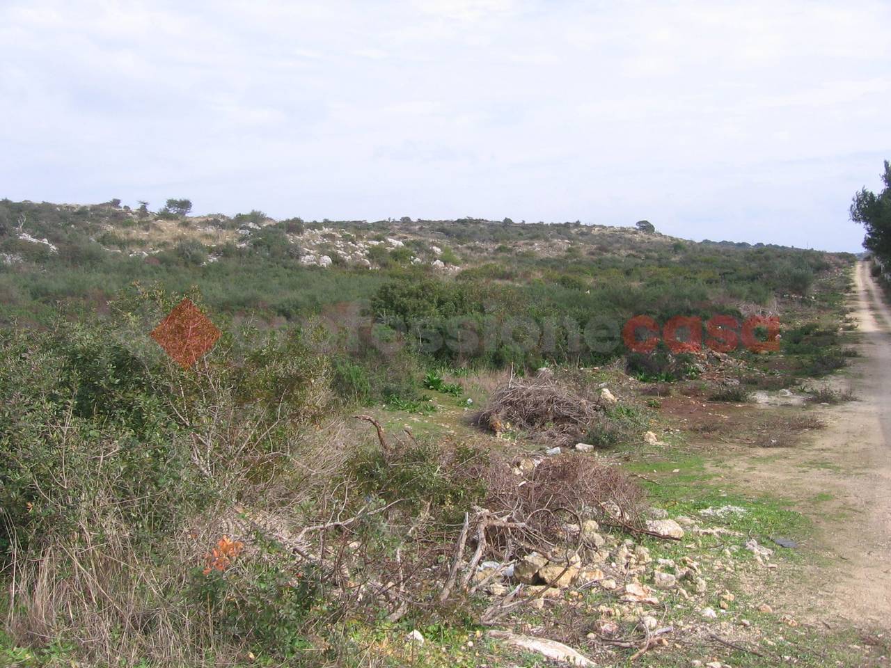 immagine annuncio 2 di 4