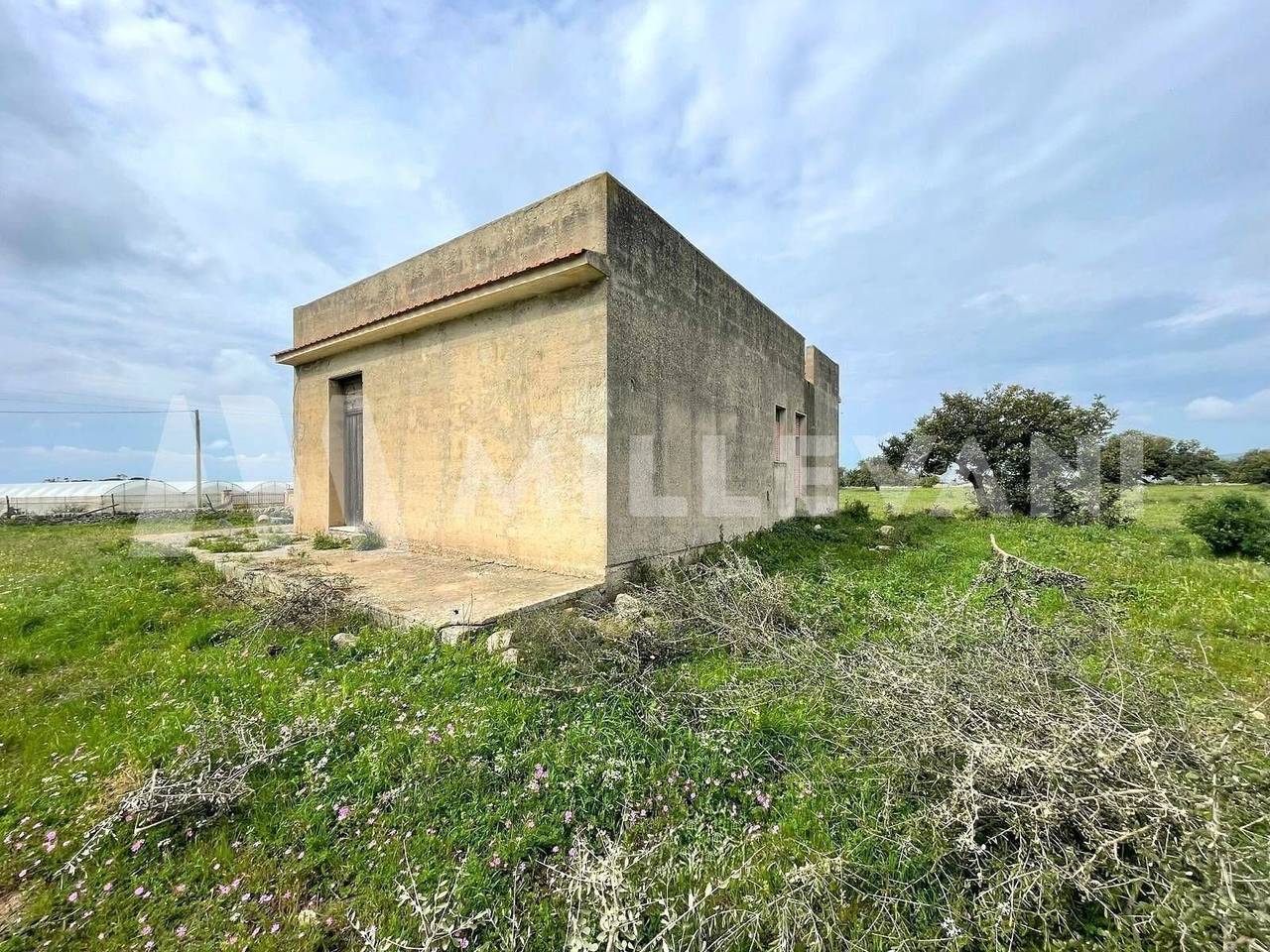 immagine annuncio 7 di 12