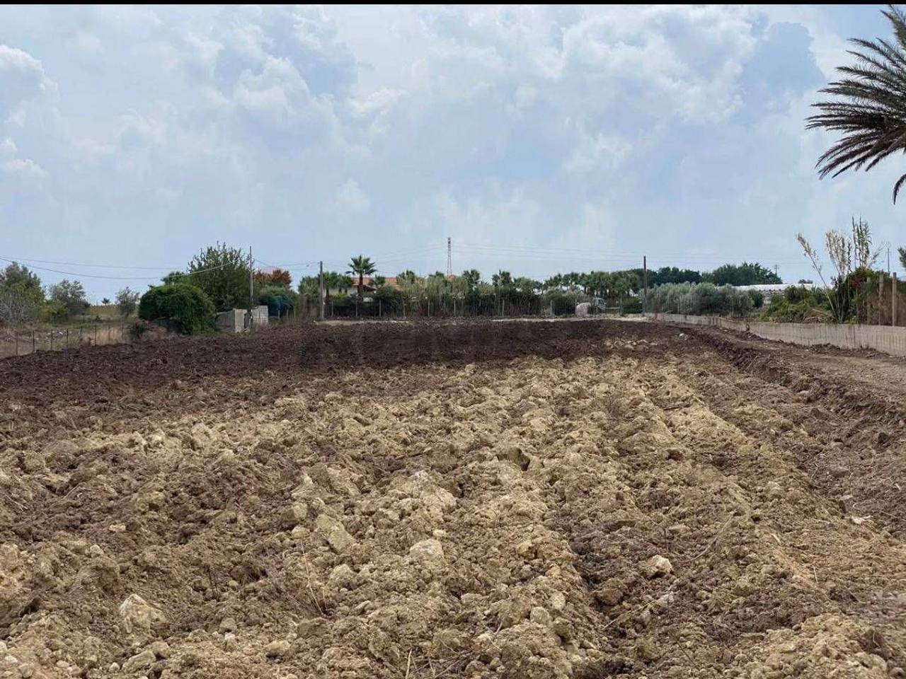 immagine annuncio 6 di 8