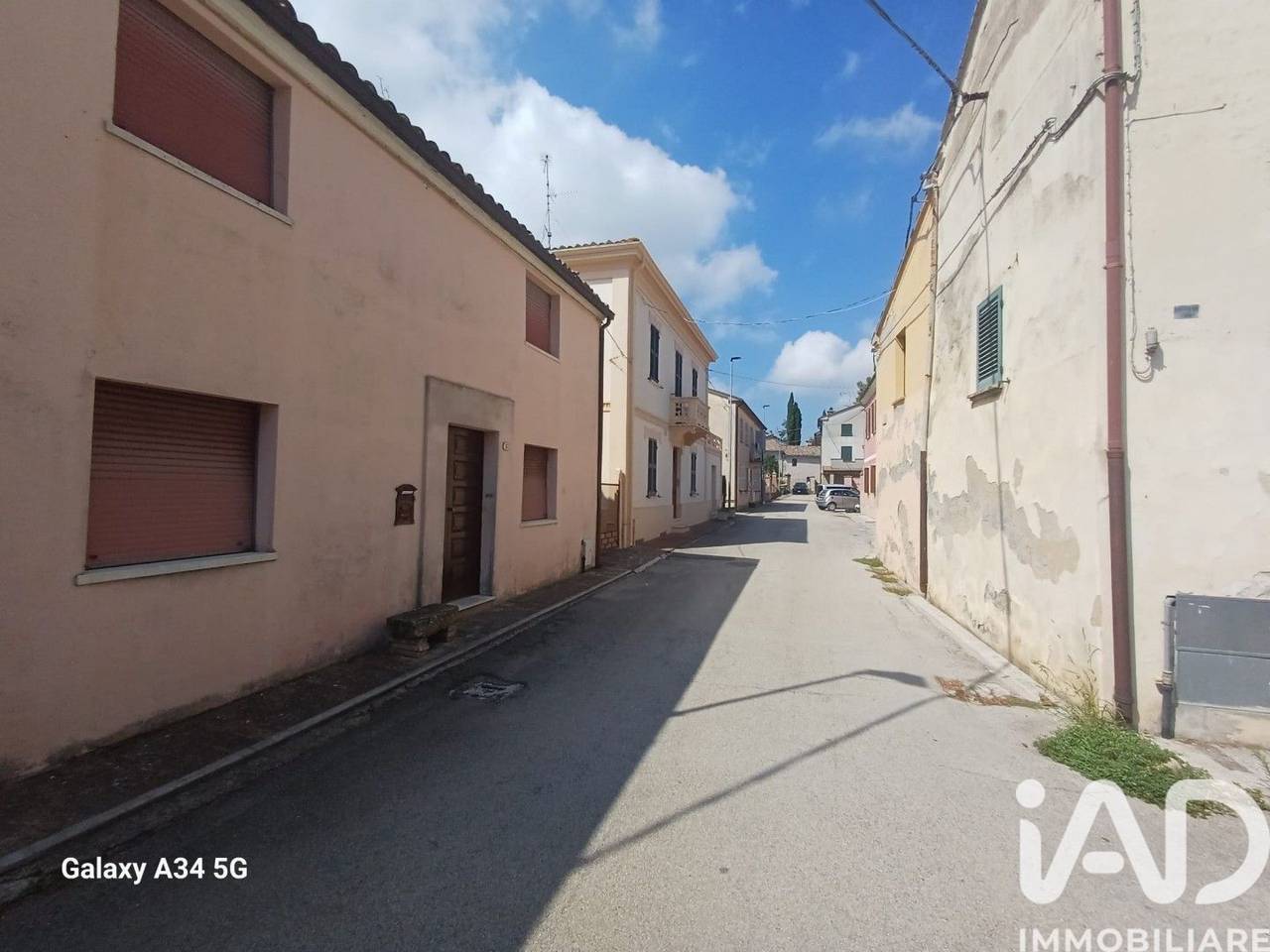 immagine annuncio 7 di 14