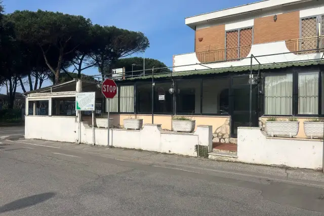 Geschäft in Via Ardeatina 648, Anzio - Foto 1