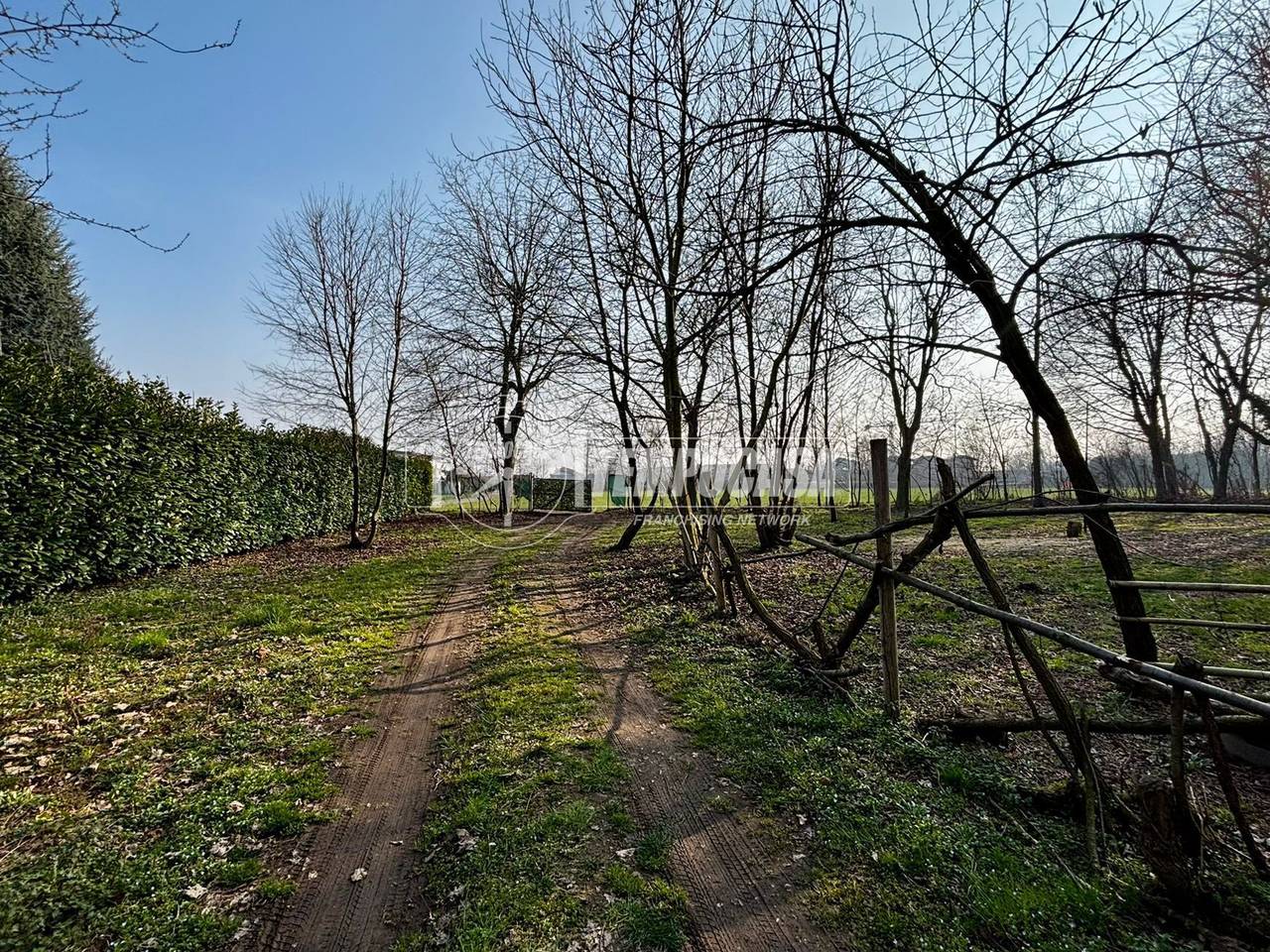 immagine annuncio 5 di 12