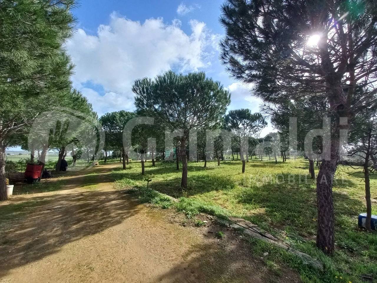 immagine annuncio 3 di 15