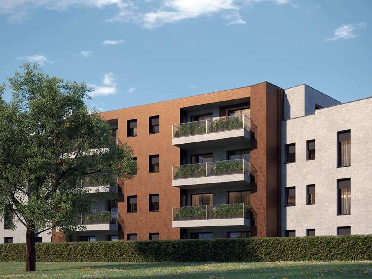 immagine annuncio 7 di 15