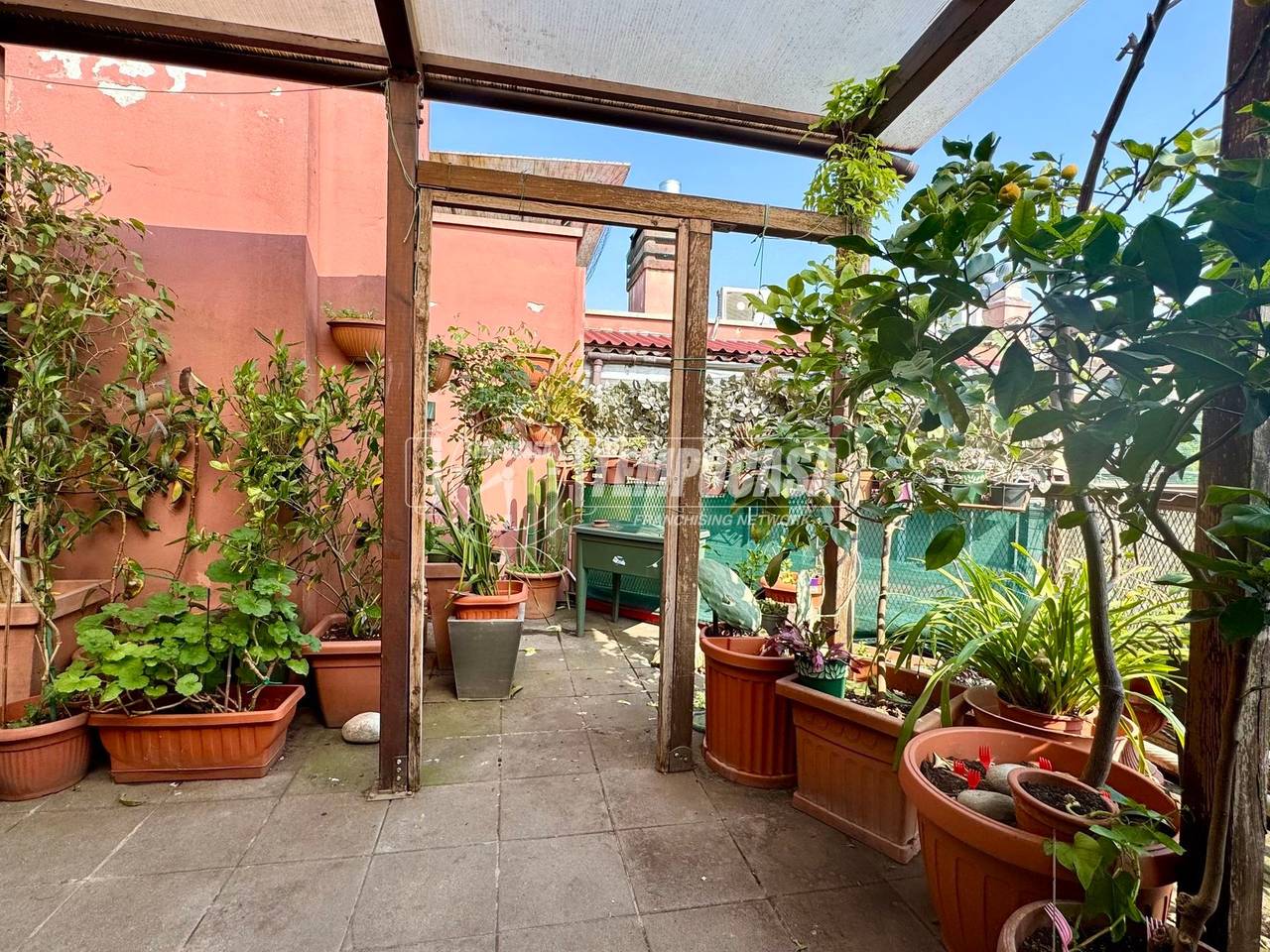 immagine annuncio 2 di 13